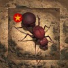 魅夜私密播放器 
